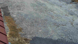 Nástup na běžecké tratě