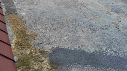 Nástup na běžecké tratě