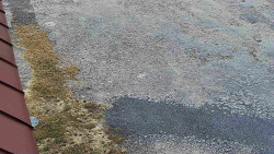 Nástup na běžecké tratě