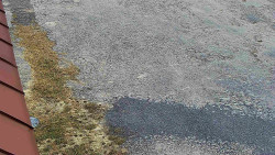 Nástup na běžecké tratě