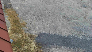 SkiAreál - Horský hotel Vsacký Cáb - Nástup na běžecké tratě - 10.3.2026 v 08:00 SkiAreál - Horský hotel Vsacký Cáb - Nástup na běžecké tratě - 10.3.2026 v 08:00