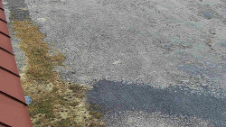 Nástup na běžecké tratě