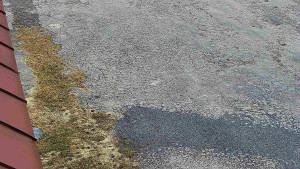 SkiAreál - Horský hotel Vsacký Cáb - Nástup na běžecké tratě - 10.3.2026 v 08:30 SkiAreál - Horský hotel Vsacký Cáb - Nástup na běžecké tratě - 10.3.2026 v 08:30