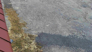 SkiAreál - Horský hotel Vsacký Cáb - Nástup na běžecké tratě - 10.3.2026 v 10:00 SkiAreál - Horský hotel Vsacký Cáb - Nástup na běžecké tratě - 10.3.2026 v 10:00