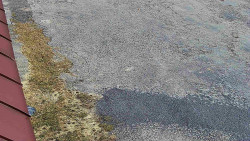 Nástup na běžecké tratě