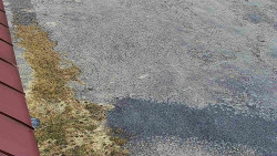 Nástup na běžecké tratě