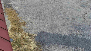 SkiAreál - Horský hotel Vsacký Cáb - Nástup na běžecké tratě - 10.3.2026 v 11:01 SkiAreál - Horský hotel Vsacký Cáb - Nástup na běžecké tratě - 10.3.2026 v 11:01