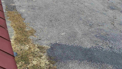 Nástup na běžecké tratě