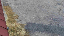 Nástup na běžecké tratě