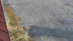 Nástup na běžecké tratě