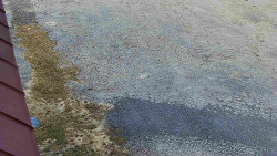 Nástup na běžecké tratě