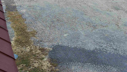 Nástup na běžecké tratě