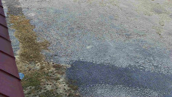 Nástup na běžecké tratě