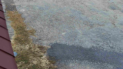 Nástup na běžecké tratě