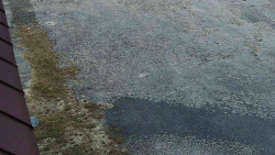 Nástup na běžecké tratě