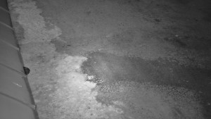 SkiAreál - Horský hotel Vsacký Cáb - Nástup na běžecké tratě - 10.3.2026 v 19:00 SkiAreál - Horský hotel Vsacký Cáb - Nástup na běžecké tratě - 10.3.2026 v 19:00