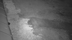 Nástup na běžecké tratě