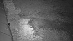 Nástup na běžecké tratě