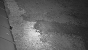 SkiAreál - Horský hotel Vsacký Cáb - Nástup na běžecké tratě - 10.3.2026 v 20:30 SkiAreál - Horský hotel Vsacký Cáb - Nástup na běžecké tratě - 10.3.2026 v 20:30