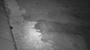 SkiAreál - Horský hotel Vsacký Cáb - Nástup na běžecké tratě - 10.3.2026 v 22:00 SkiAreál - Horský hotel Vsacký Cáb - Nástup na běžecké tratě - 10.3.2026 v 22:00