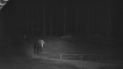 Nástup na běžecké tratě