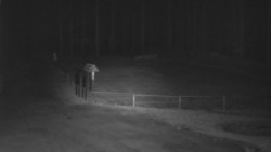 Nástup na běžecké tratě