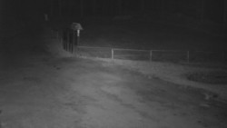 Nástup na běžecké tratě