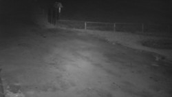 Nástup na běžecké tratě