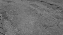 Nástup na běžecké tratě