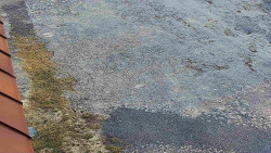 Nástup na běžecké tratě