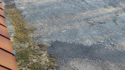 Nástup na běžecké tratě