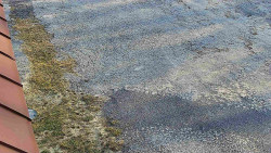 Nástup na běžecké tratě