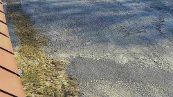 Nástup na běžecké tratě