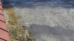 Nástup na běžecké tratě