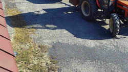 Nástup na běžecké tratě