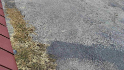 Nástup na běžecké tratě