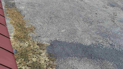 Nástup na běžecké tratě