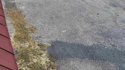 Nástup na běžecké tratě