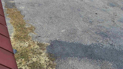 Nástup na běžecké tratě