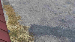 Nástup na běžecké tratě