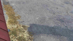 Nástup na běžecké tratě