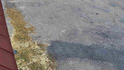 Nástup na běžecké tratě