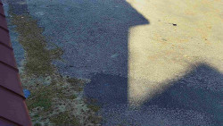 Nástup na běžecké tratě