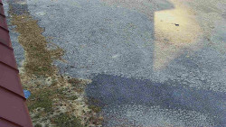 Nástup na běžecké tratě