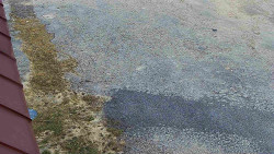 Nástup na běžecké tratě