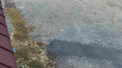 Nástup na běžecké tratě