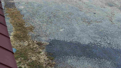 Nástup na běžecké tratě