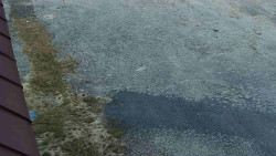 Nástup na běžecké tratě