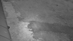 Nástup na běžecké tratě