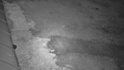 Nástup na běžecké tratě